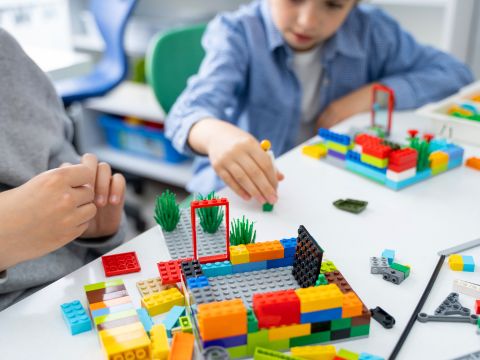 Premio Festival de Lego League